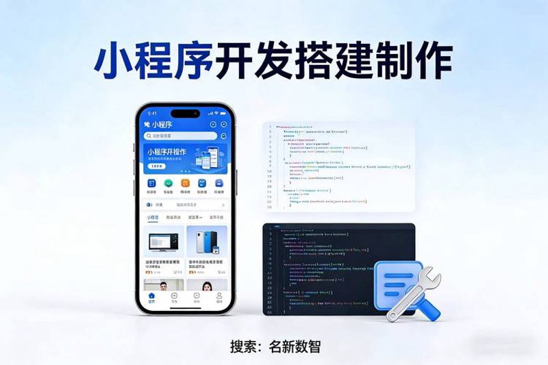 软件定制开发